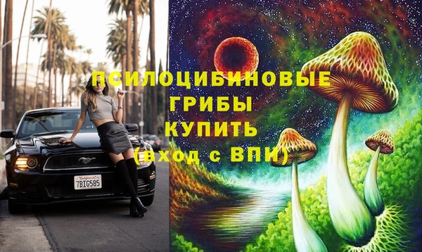 ПСИЛОЦИБИНОВЫЕ ГРИБЫ Армянск