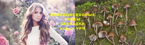 ПСИЛОЦИБИНОВЫЕ ГРИБЫ Армянск