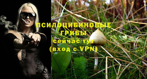 не бодяженный Аркадак